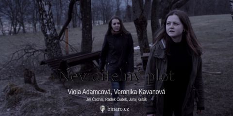 nevidi